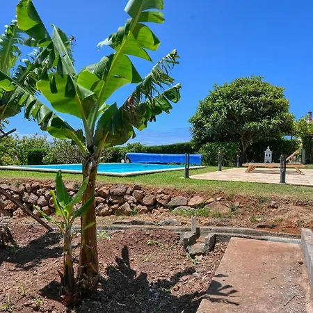 Santa Madalena, A In Madeira Villa