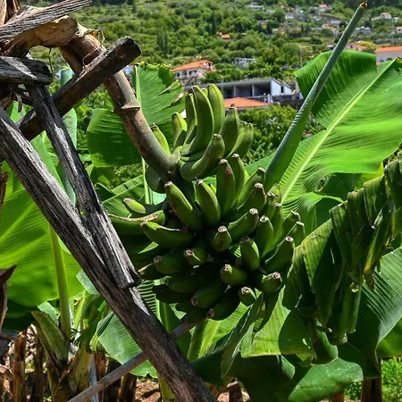 וילה Santa Madalena, A In Madeira *